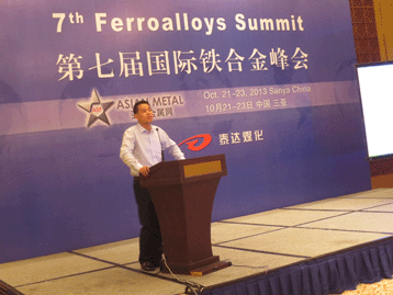 2013國際戰(zhàn)略金屬峰會