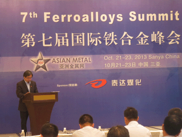 2013國際戰(zhàn)略金屬峰會