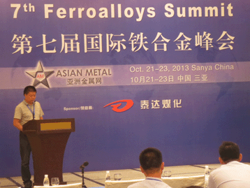 2013國際戰(zhàn)略金屬峰會