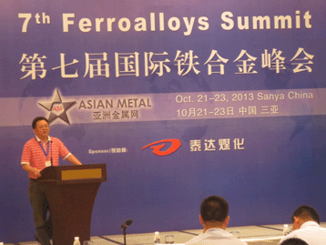 2013國際戰(zhàn)略金屬峰會