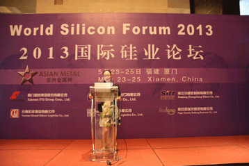 2013國際硅業(yè)論壇