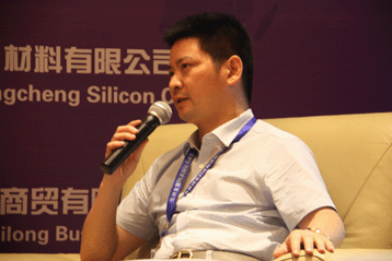 2013國際硅業(yè)論壇