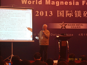 2013國(guó)際鎂砂論壇