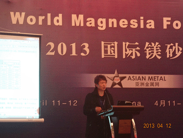 2013國(guó)際鎂砂論壇