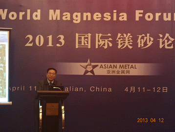 2013國(guó)際鎂砂論壇