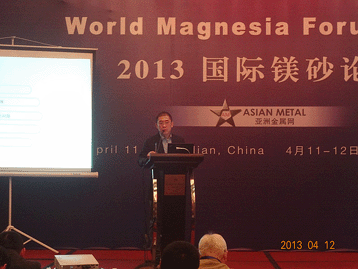 2013國(guó)際鎂砂論壇