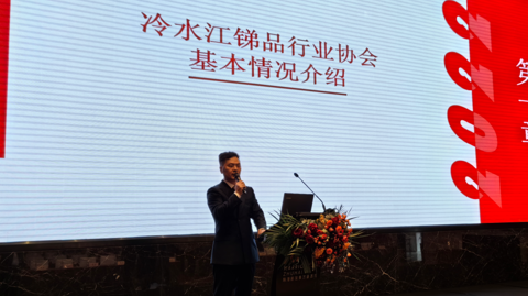 第十屆國(guó)際銻業(yè)論壇