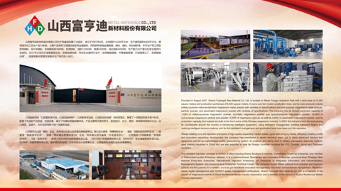 第十三屆國際鎂業(yè)峰會