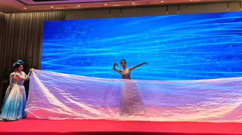 第十一屆國際銻業(yè)論壇 