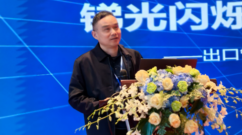 第十一屆國際銻業(yè)論壇 