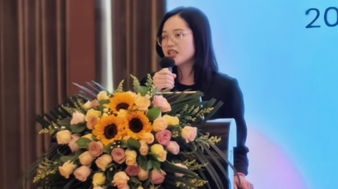 2025國際錫業(yè)論壇