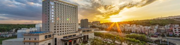 2011國際電解鋁原料峰會